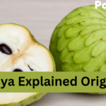 Cherimoya