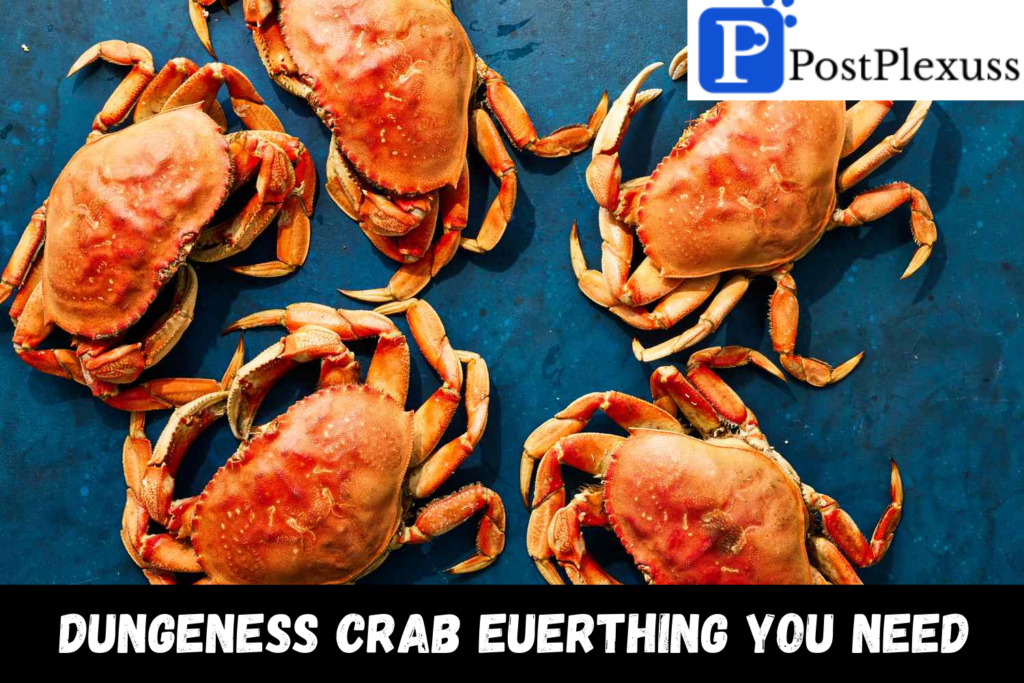 dungeness crab