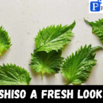 Shiso